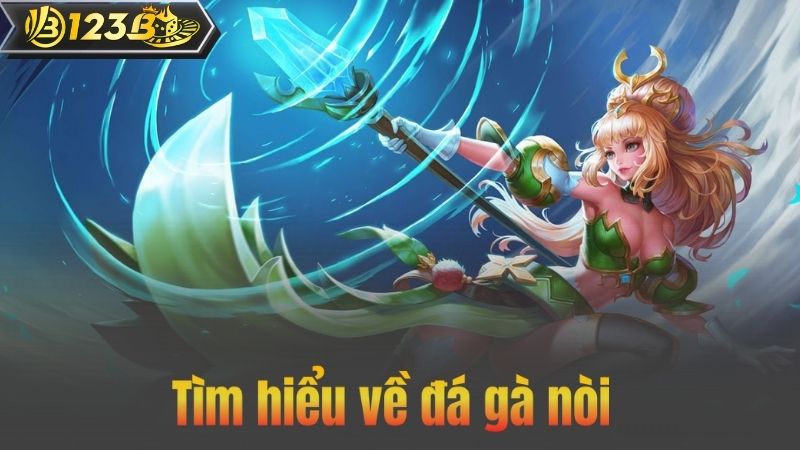 Đá gà nòi – Khám phá những trận đấu gay cấn tại 123B 6 Tìm hiểu về đá gà nòi