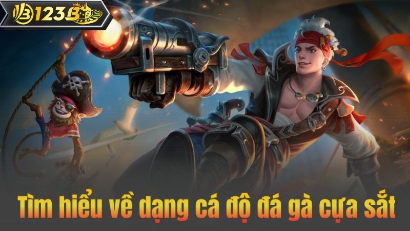 Đá Gà Cựa Sắt – Bí Kíp Giúp Thắng Mọi Đối Thủ Dễ Dàng 7 Tìm hiểu về dạng cá độ đá gà cựa sắt
